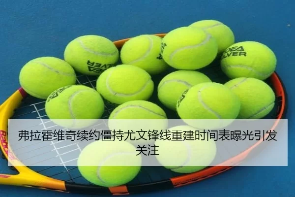 弗拉霍维奇续约僵持尤文锋线重建时间表曝光引发关注